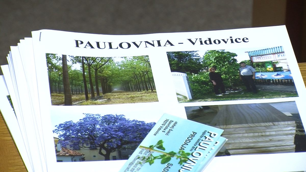 UDRUŽENJE POLJOPRIVREDNIKA IZ VOGOŠĆE ORGANIZOVALO PREDAVANJE O PAULOVNIJI