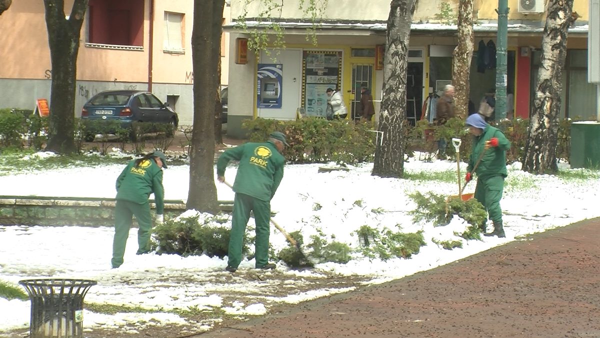 RADNICI PREDUZEĆA „PARK“ UKLANJALI SNIJEG SA STABALA DRVEĆA I UKRASNOG GRMLJA
