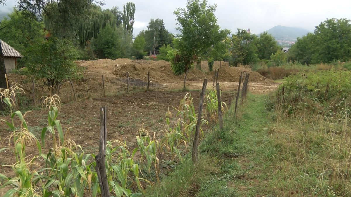 PRVA OGLEDNA POLJOPRIVREDNA EKONOMIJA NA PODRUČJU VOGOŠĆE