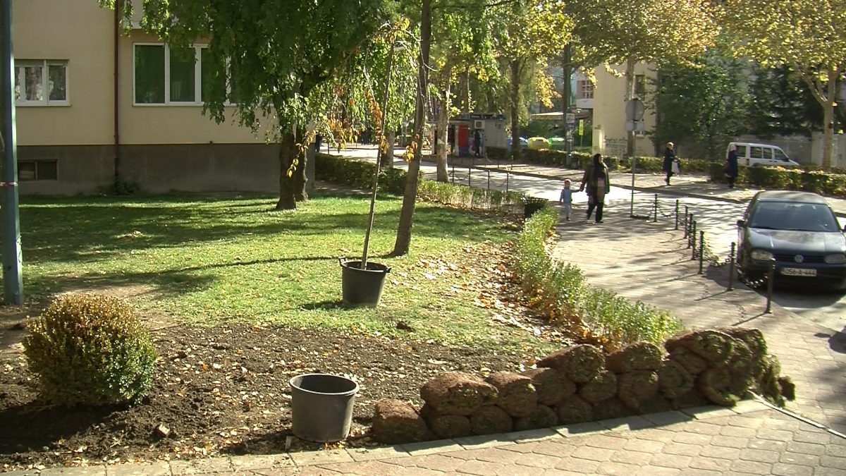 NA PODRUČJU VOGOŠĆE REKONSTRUISANO 500 METARA KVADRATNIH ZELENE POVRŠINE