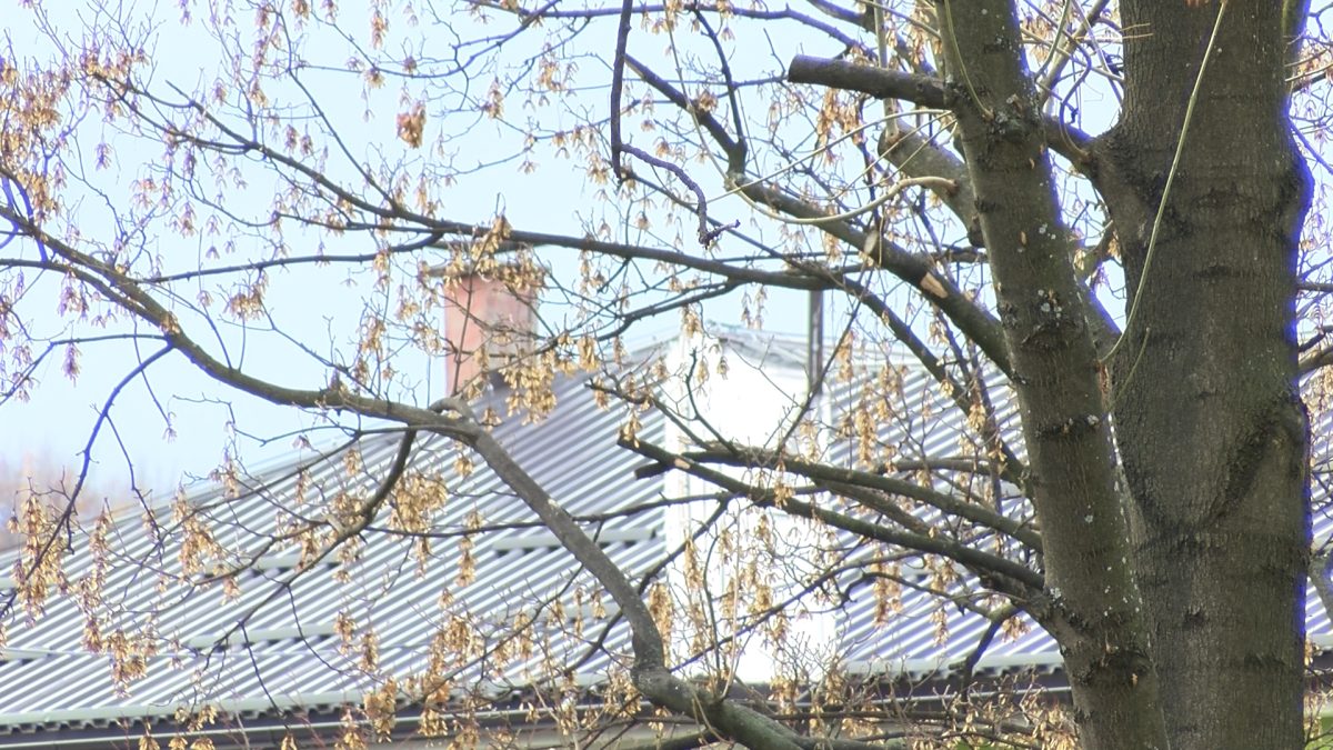 VOGOŠĆANI SPREMNO DOČEKUJU ZIMU