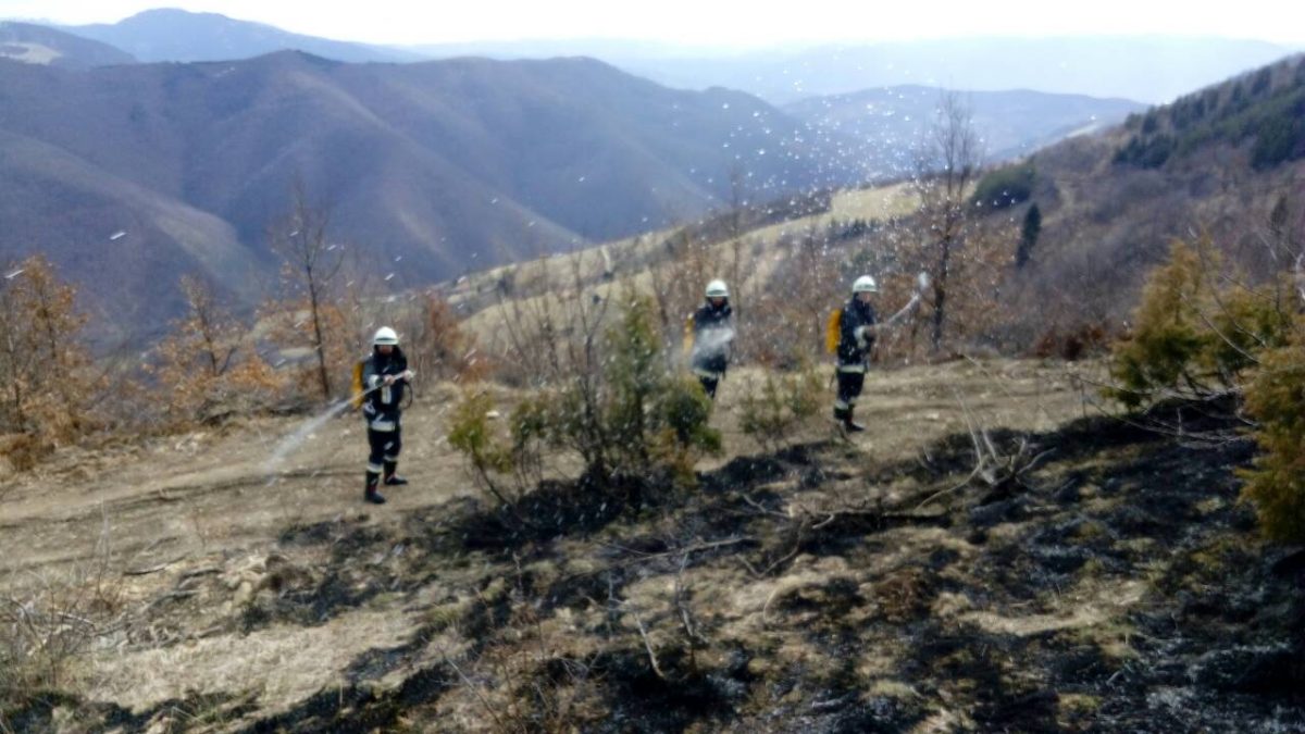 POVEĆAN BROJ POŽARA ZBOG PROLJETNIH RADOVA I UREĐENJA OBRADIVIH POVRŠINA