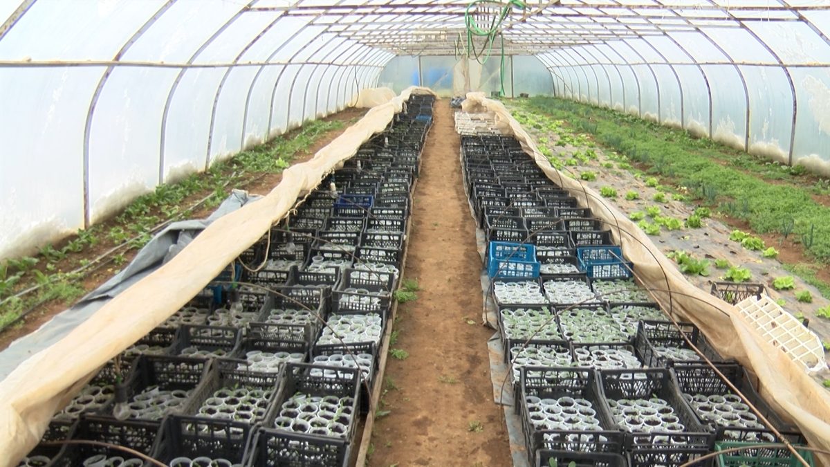 NOVO ZAHLAĐENJE USPORIT ĆE PRVU PROLJETNU SJETVU