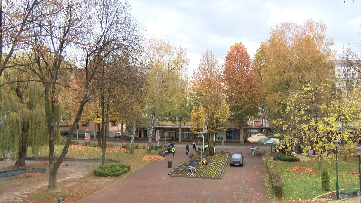 RADNICI KJKP „PARK“ U VOGOŠĆI UREĐUJU CVJETNE GREDICE