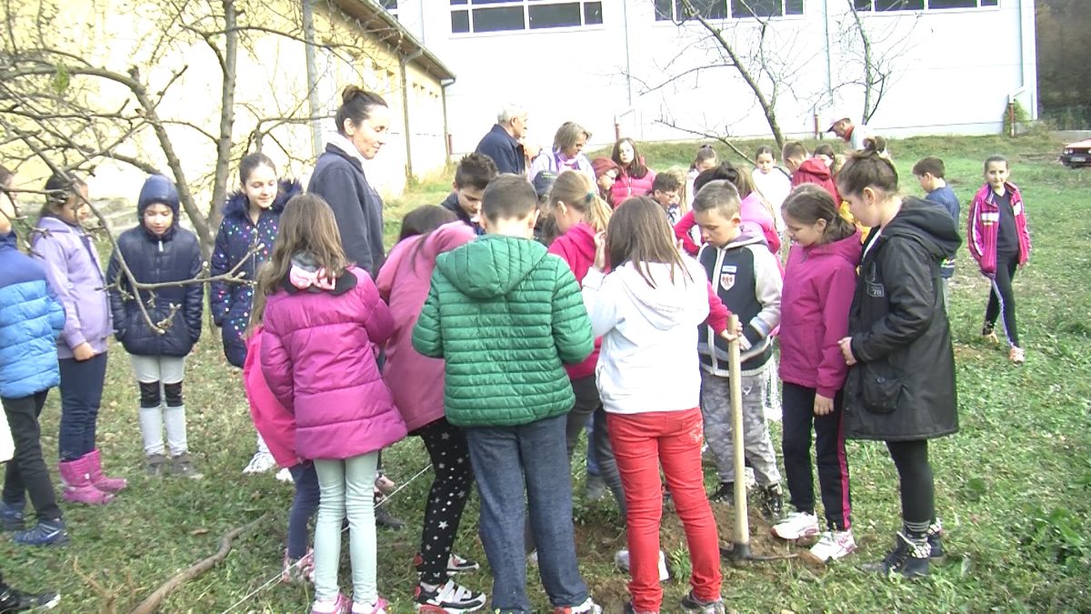 NASTAVAK PROJEKTA SADNJE DRVEĆA ZA DJECU SEMIZOVCA