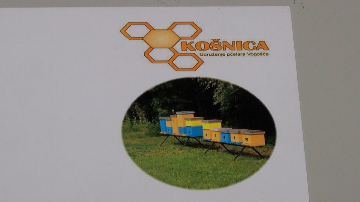U NAREDNOM PERIODU UDRUŽENJA “KOŠNICA” I “JOŠANICA” DJELUJU UJEDINJENO