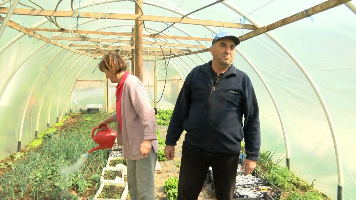 PORODICA ŠEHOVIĆ IZ SVRAKA: OD VLASTITOG RADA SE IPAK MOŽE PRISTOJNO ŽIVJETI