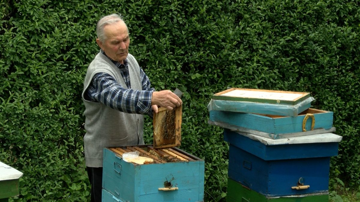 PČELAR MUHAMED SPAHIĆ: LJUBAV KOJA TRAJE 70 GODINA