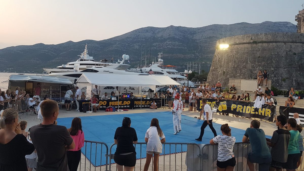 NOVI USPJESI ČLANOVA TAEKWONDO KLUBA VICTORY