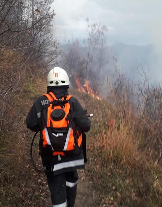 ČLANOVI VD „VOGOŠĆA“ GASILI POŽARE NA OTVORENOM