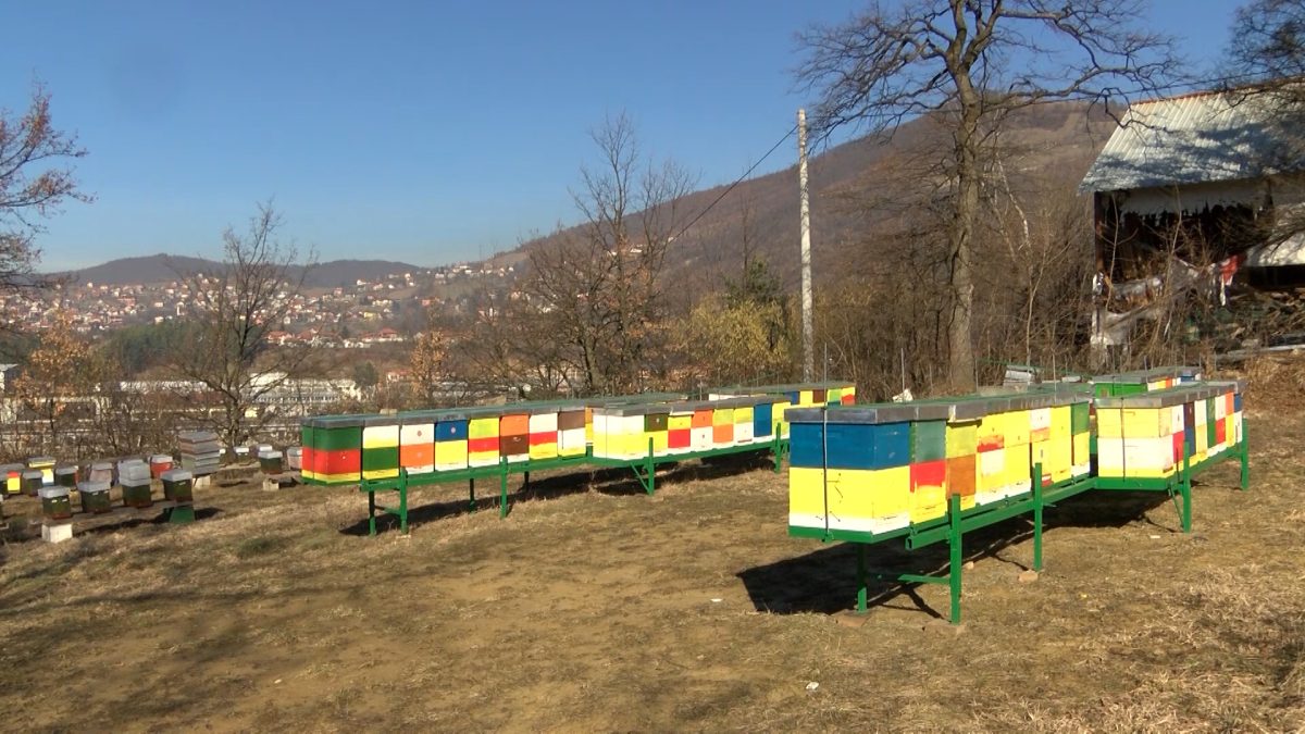 UDRUŽENJE PČELARA „KOŠNICA“ PRIKUPLJAJU MED ZA SUGRAĐANE KAO VID POMOĆI I PAŽNJE