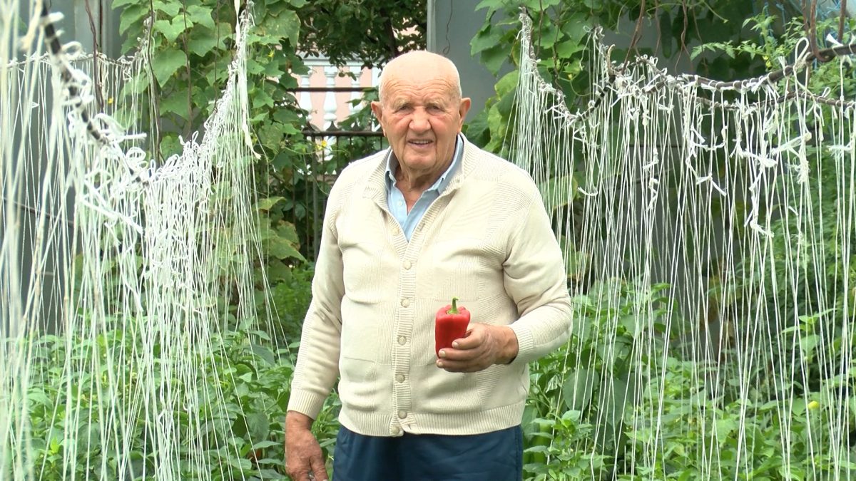 U DEVETOJ DECENIJI ŽIVOTA OMER PUSTAHIJA  VRIJEDNO RADI