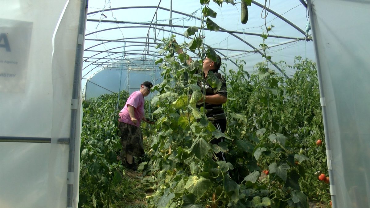 ZDRAVLJE JE NA PRVOM MJESTU – PORUKA POLJOPRIVREDNICE MUNEVERE IZ UGORSKOG