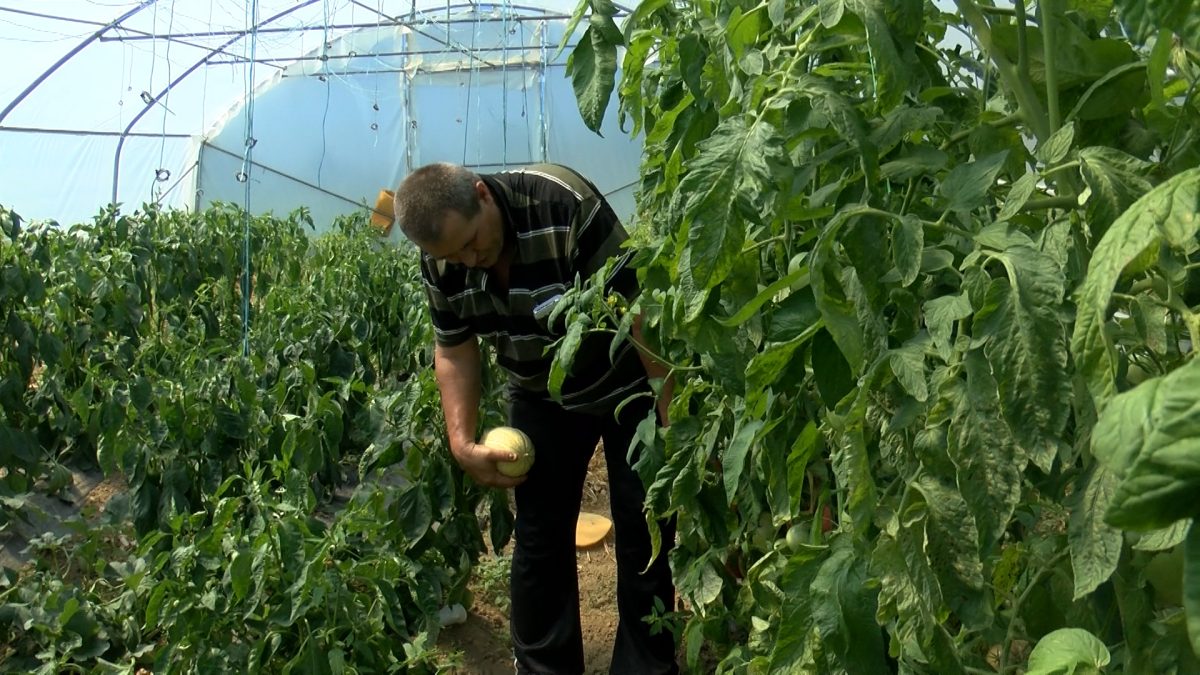 POSJETILI SMO IMANJE PORODICE PEZO U NASELJU UGORSKO