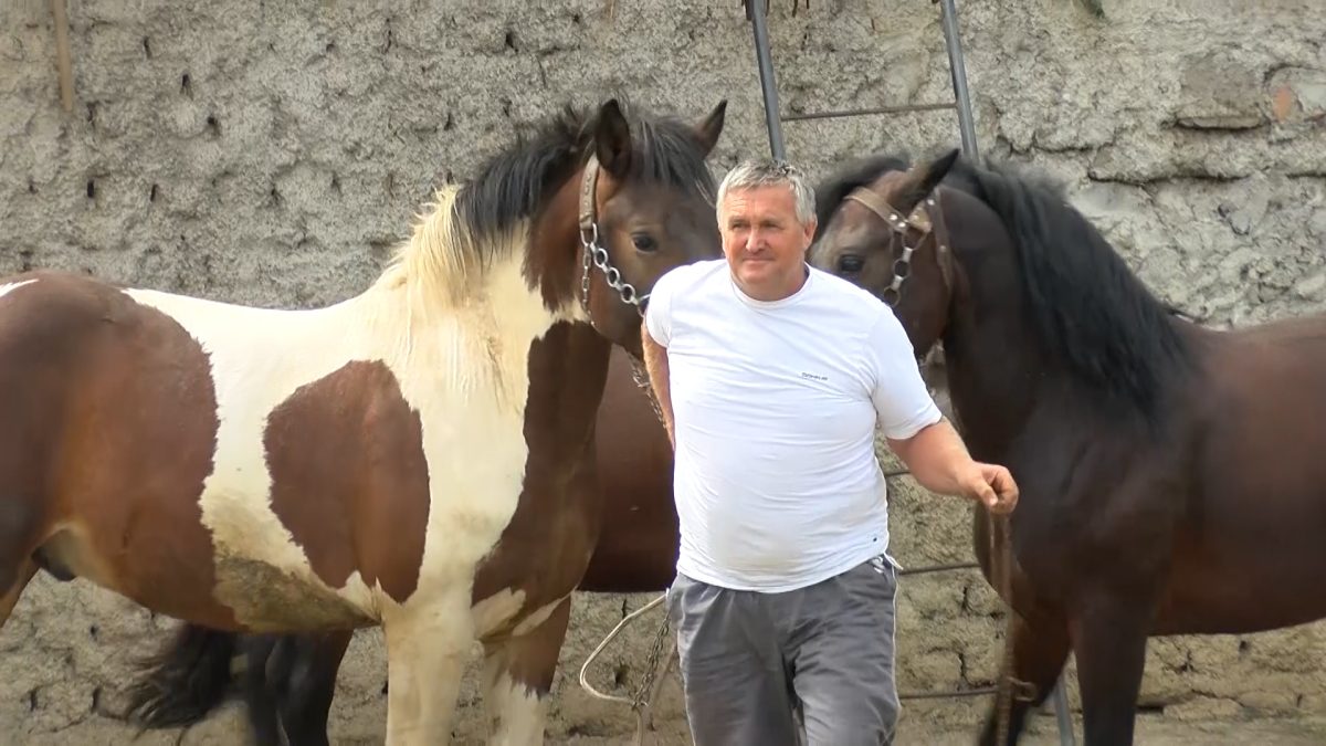SALKO BLEKIĆ: VOGOŠĆANSKI ŠAPTAČ KONJIMA