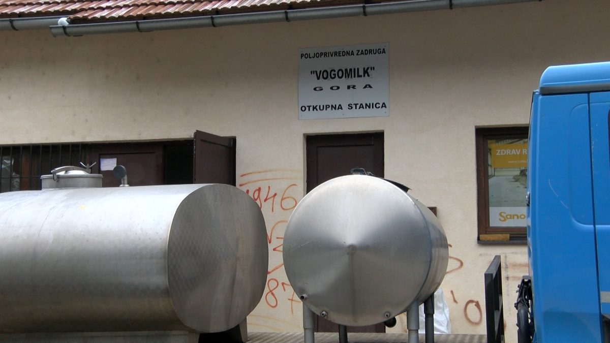„VOGOMILK“ OTKUPLJUJE MLIJEKO OD 55 KOOPERANATA