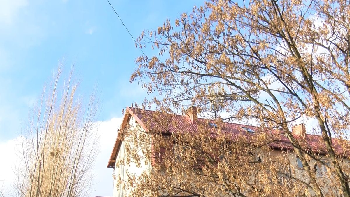 UPOZORENJE PRAVNIM I FIZIČKIM LICIMA ZA PREDUZIMANJE PREVENTIVNIH MJERA ZAŠTITE I SPAŠAVANJA OD JAKOG VJETRA