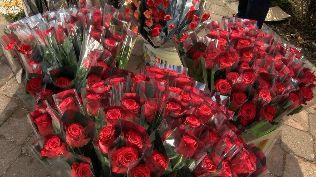 MEĐUNARODNI DAN ŽENA U VRIJEME PANDEMIJE:  KAKO VOGOŠĆANKE PROSLAVLJAJU 8. MART