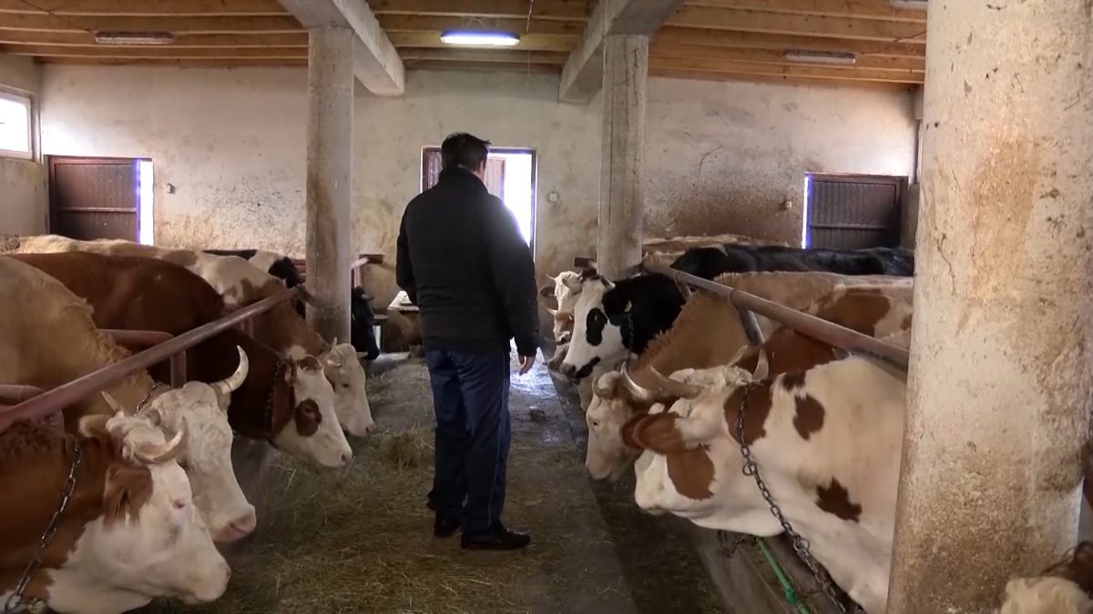 ZATVARA SE VOGOŠĆANSKO UDRUŽENJE POLJOPRIVREDNIKA