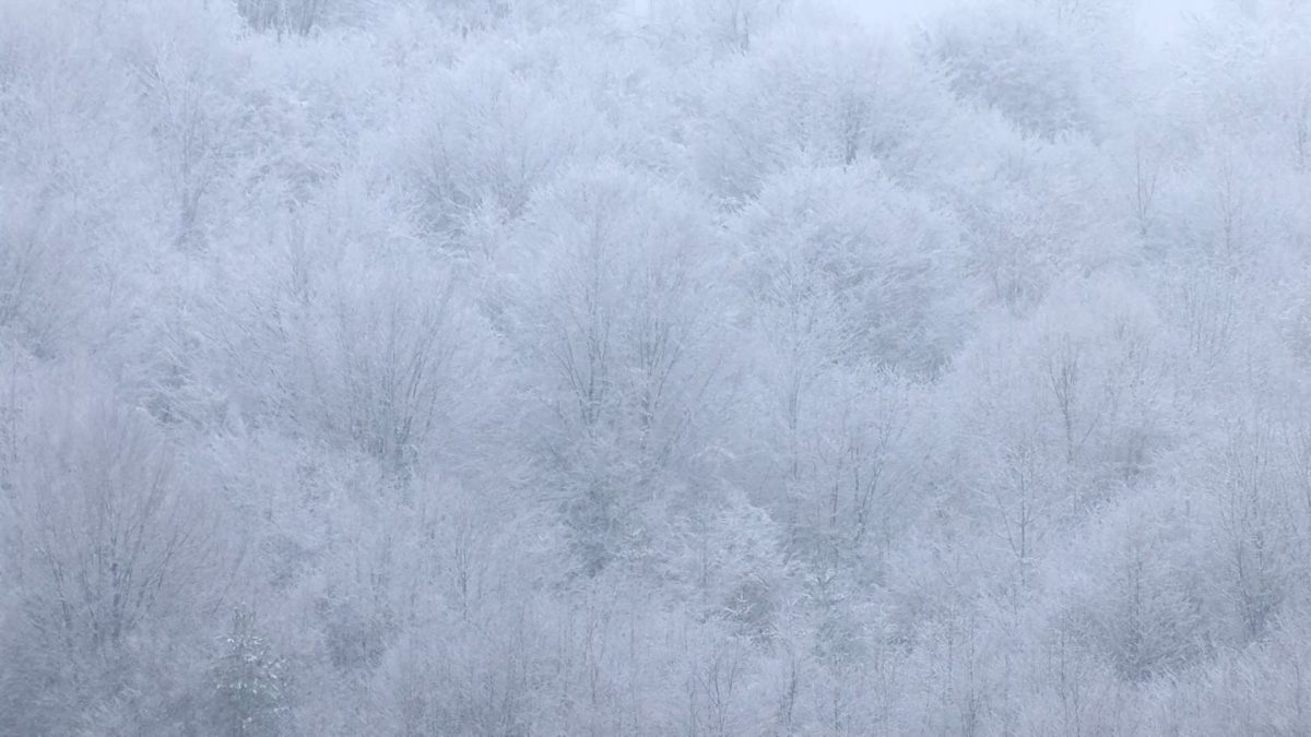 METEOROLOG NEDIM SLADIĆ: U MARTU POSLJEDNJI ZNACI ZIME