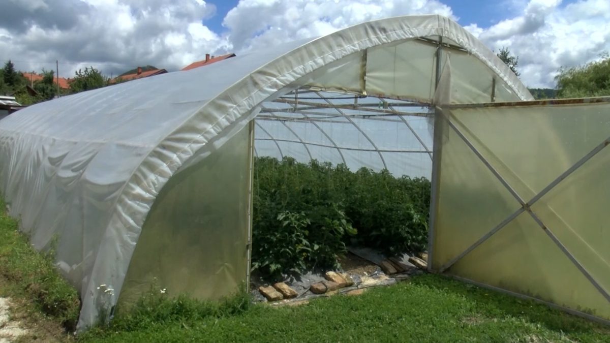 JAVNI POZIV ZA PREDAJU ZAHTJEVA ZA DODJELU PLASTENIKA POVRŠINE 100 M2 SA DODATNOM OPREMOM PUTEM SUFINANSIRANJA