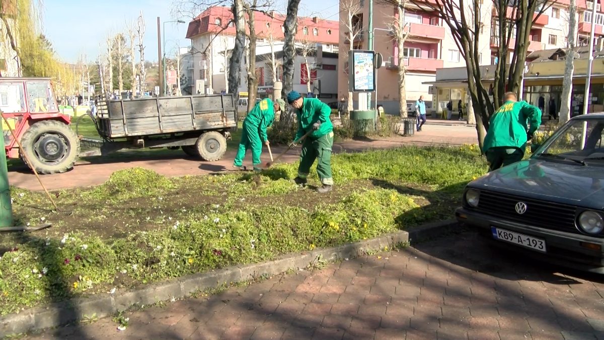 RADNICI PREDUZEĆA “PARK” SVAKODNEVNO RADE NA UREĐENJU VOGOŠĆANSKIH PARKOVA