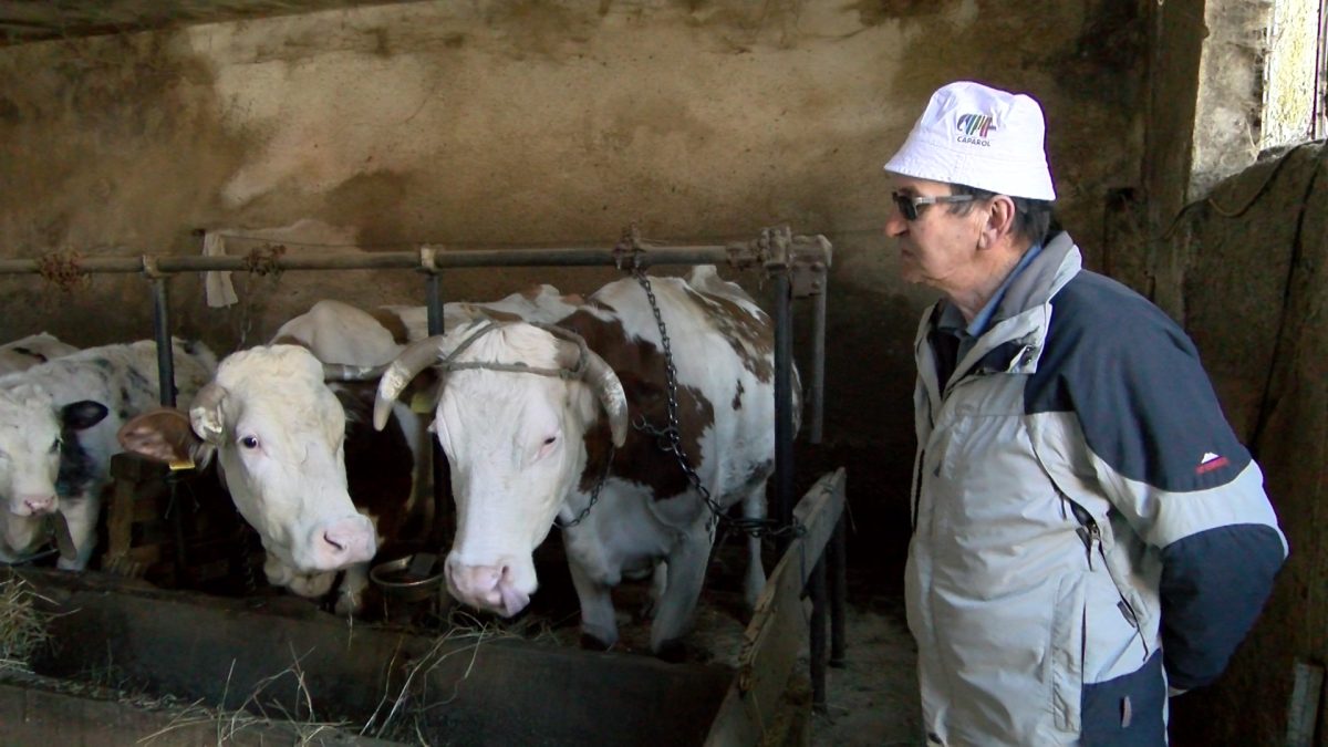 STOČARSTVO JE STOGODIŠNJA TRADICIJA PORODICE KRŠO