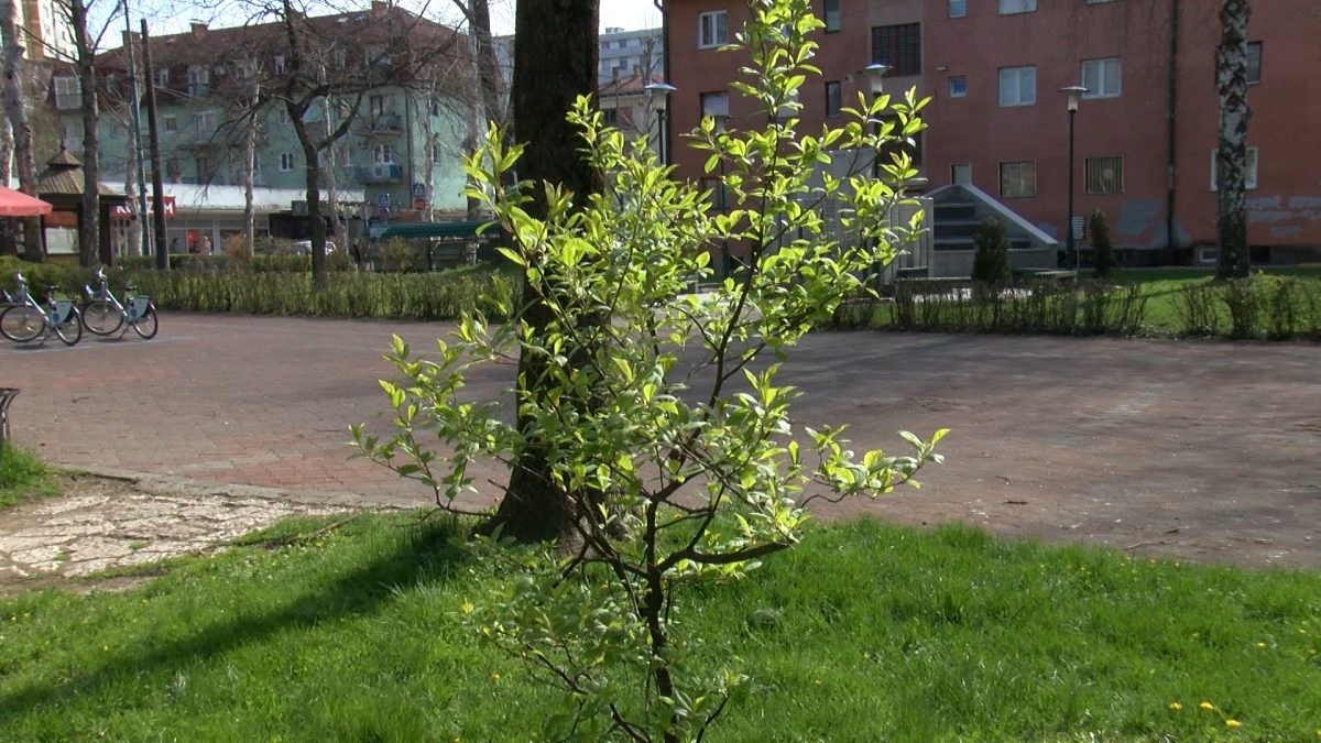 VOGOŠĆANI APELUJU NA ODGOVORNOST PREMA PRIRODI