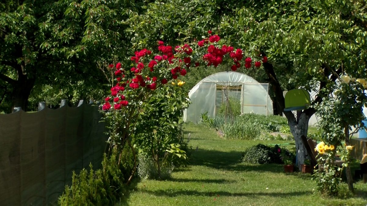 I OVE GODINE BAŠTA NAŠE MELIHE KALJANAC PLIJENI SVOJOM LJEPOTOM