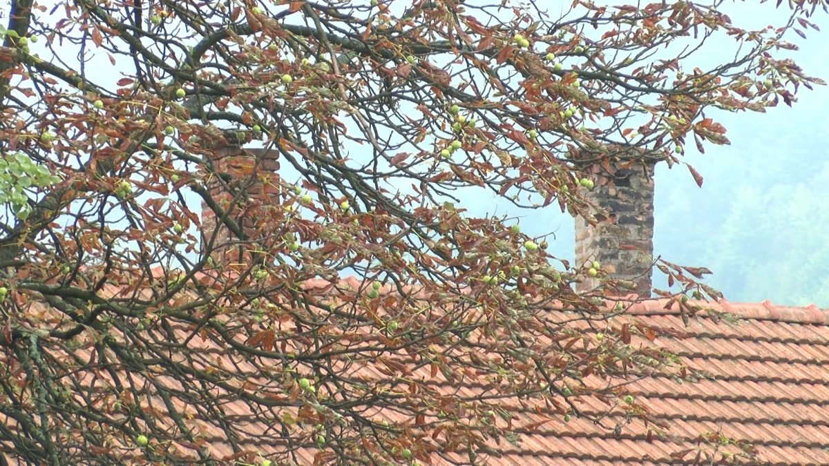 SEZONA GRIJANJA – NEOPHODNO REDOVNO ČIŠĆENJE DIMNJAKA