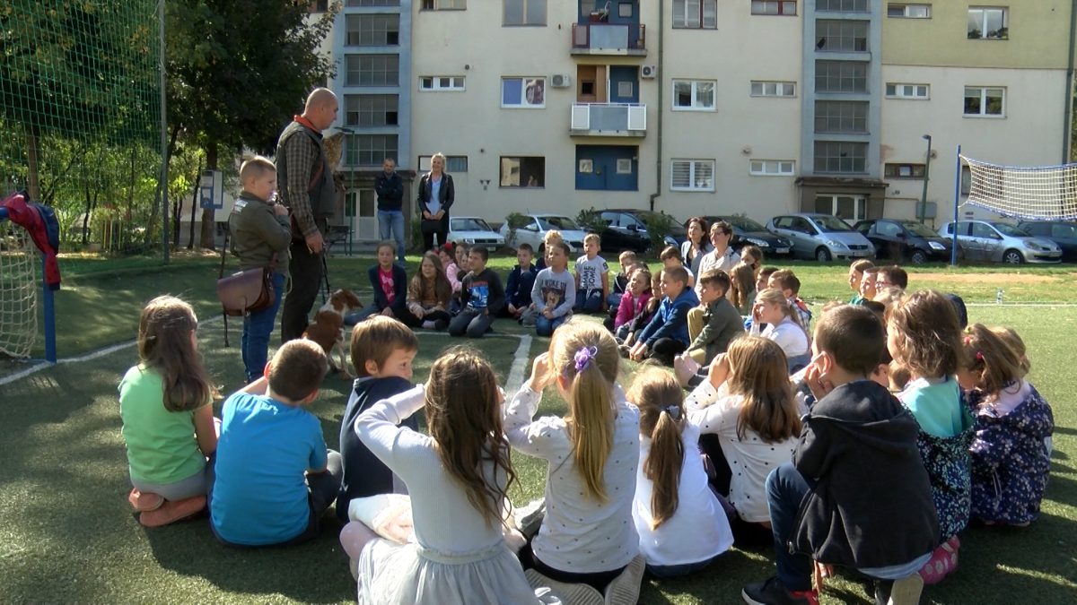MALIŠANE IZ CENTRA “TETA PRIČALICA” POSJETIO SOKOLAR ELVIR VELIĆ SA SVOJIM PTICAMA