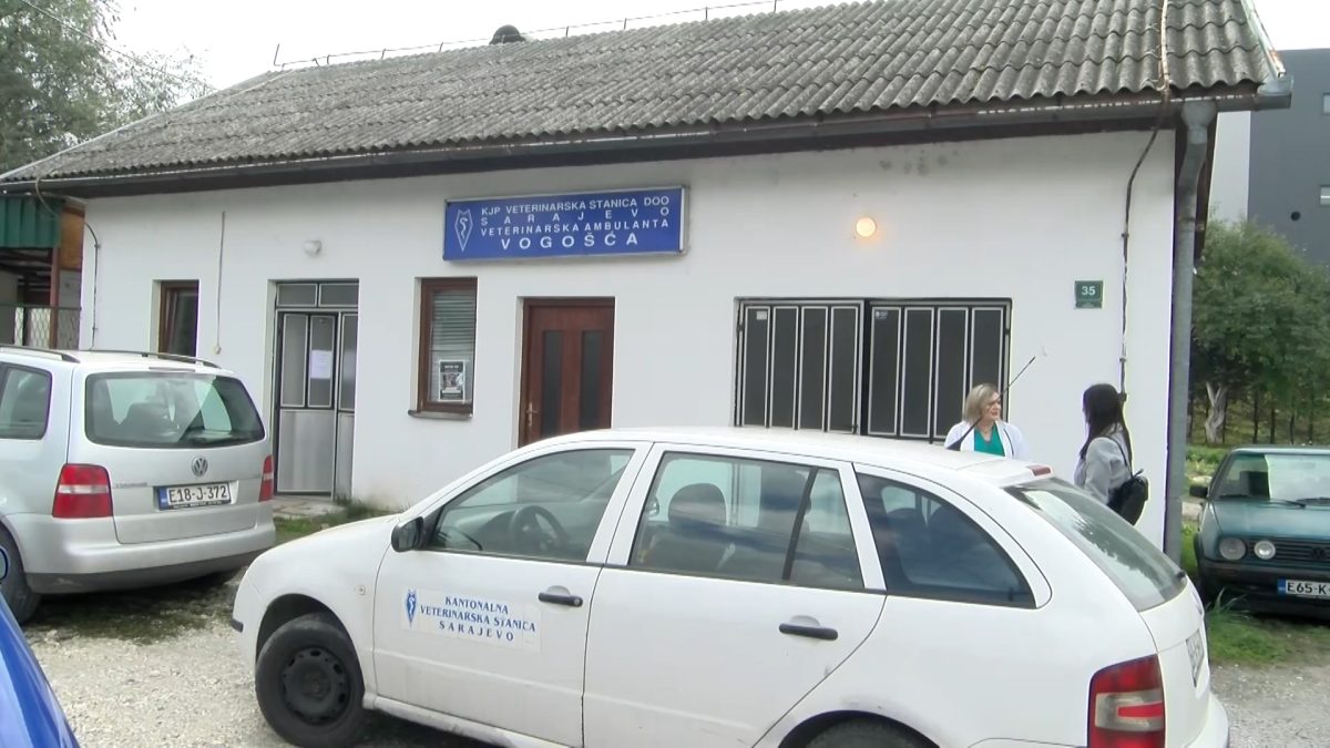 VETERINARSKA AMBULANATA U VOGOŠĆI REDOVNO OBAVLJA SVOJE AKTIVNOSTI