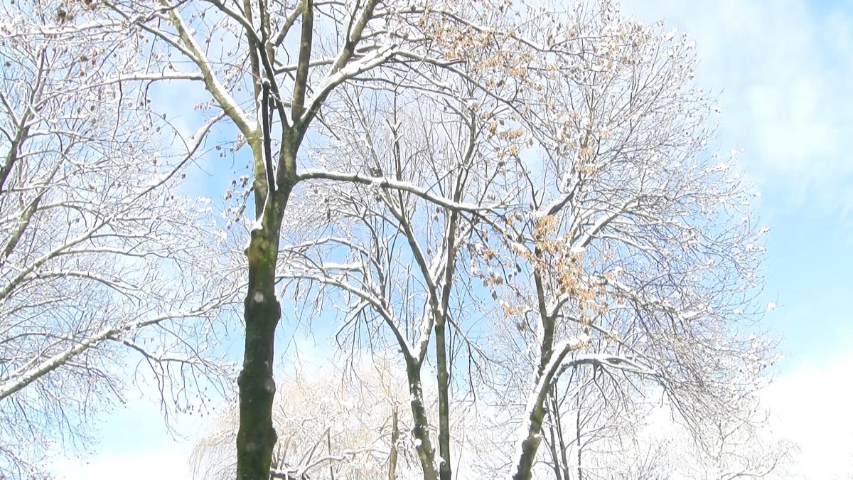 METEOROLOG DŽENAN ZULUM OTKRIVA KAKVO NAS VRIJEME OČEKUJE U NAREDNOM PERIODU