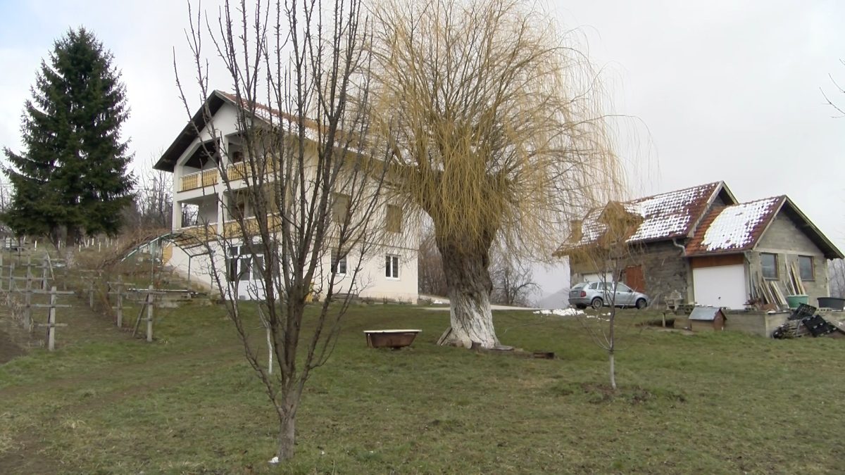 VRBA DVA VIJEKA STARA KRASI DVORIŠTE ZEHRIDA PAŠALIĆA