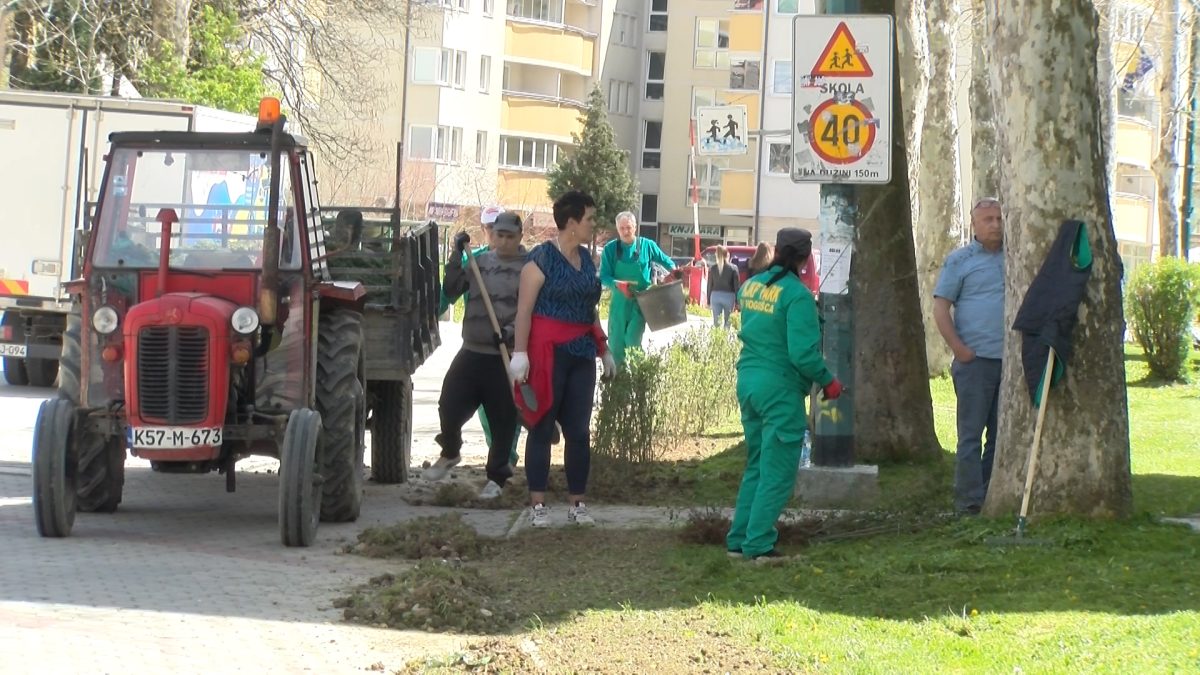 RADNICI PREDUZEĆA “PARK” U DIJELU OMLADINSKE I JOŠANIČKE ULICE ZASADILI SADNICE ŽIVE OGRADE