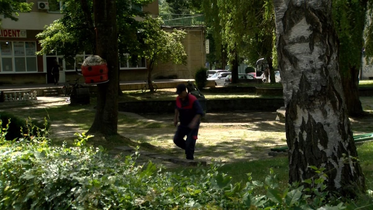PROLJEĆE JE VRIJEME ALERGIJA