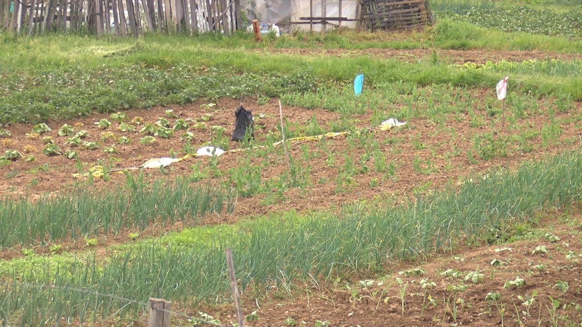 REFUNDIRANJE TROŠKOVA KUPOVINE REPROMATERIJALA ZA PROLJETNU SJETVU