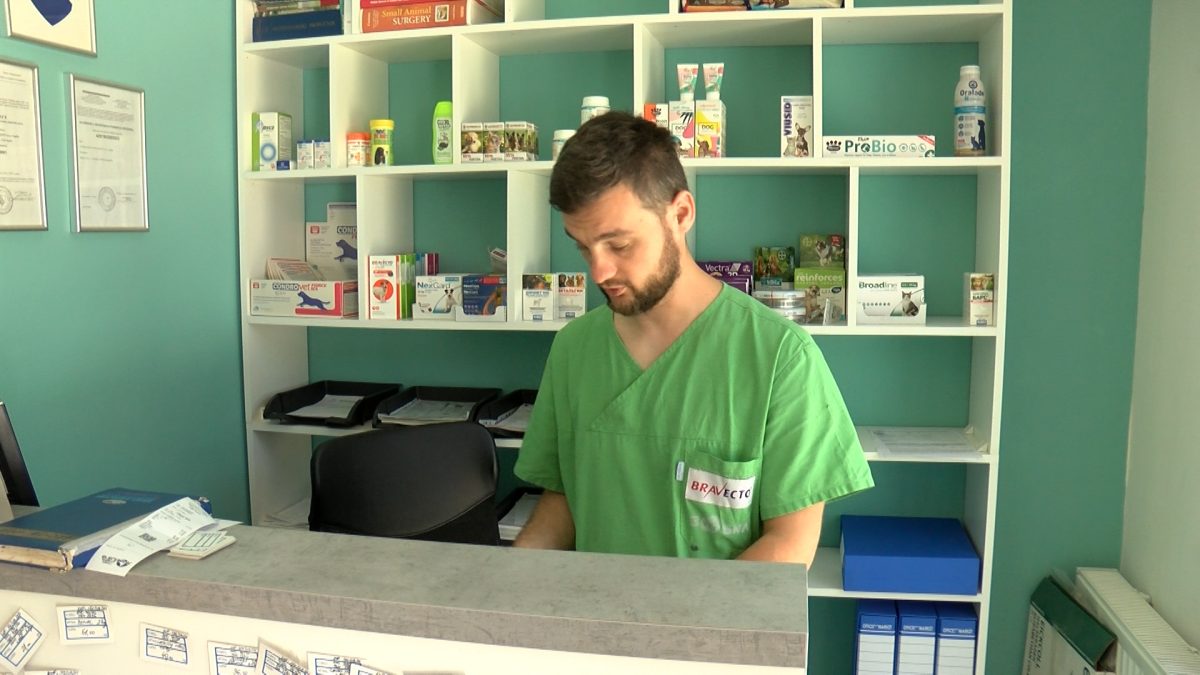 POČELA BESPLATNA VAKCINACIJA PROTIV BJESNILA, ČIPOVANJE, STERILIZACIJA ŽIVOTINJA