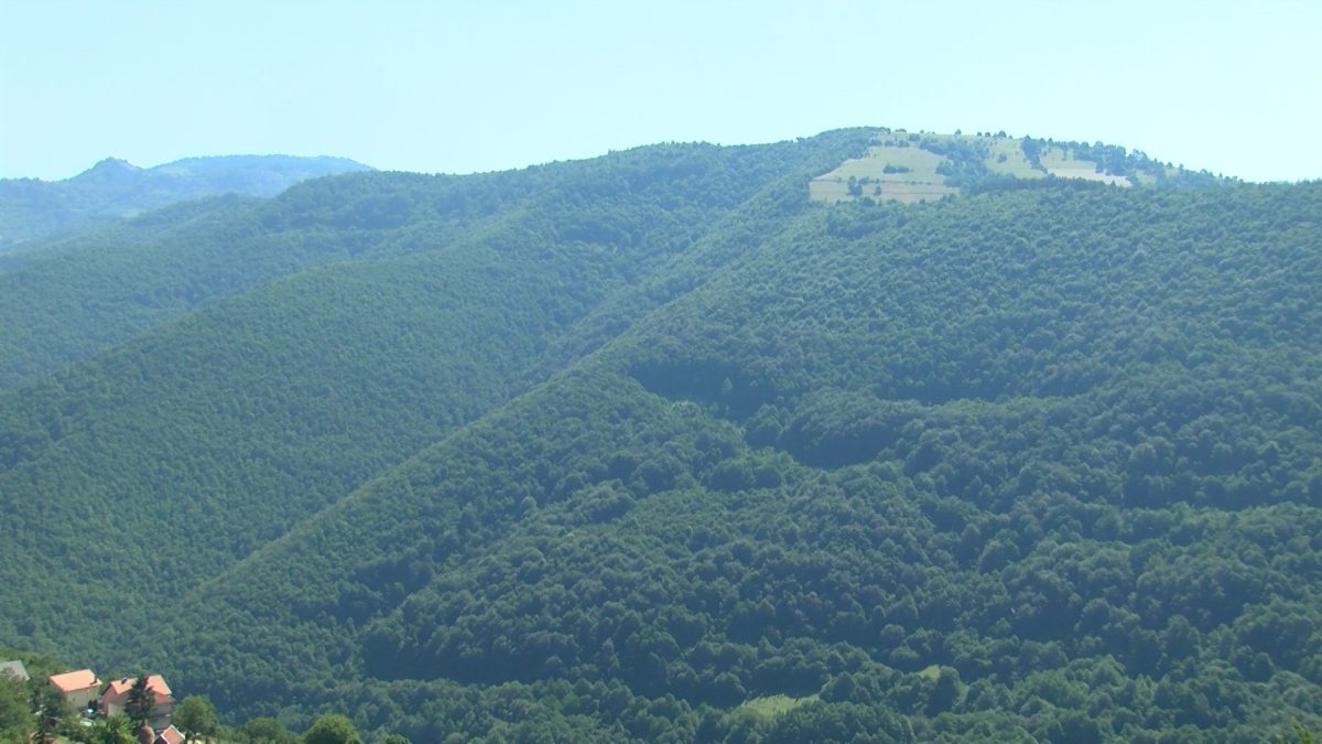 NA PODRUČJU SKAKAVCA VEĆ GODINAMA POSTOJI STANIŠTE MRKOG MEDVJEDA
