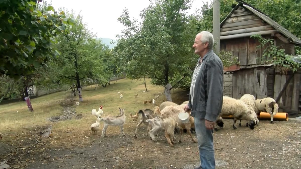 MEHMED OPRAŠIĆ SE POLJOPRIVREDOM BAVI IZ LJUBAVI