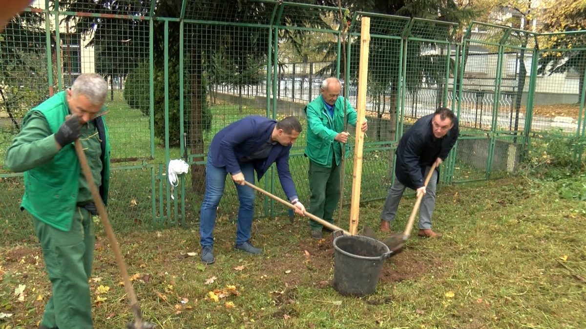 DVORIŠTE VRTIĆA “LJILJANI” OBOGAĆENO DODATNIM ZELENILOM