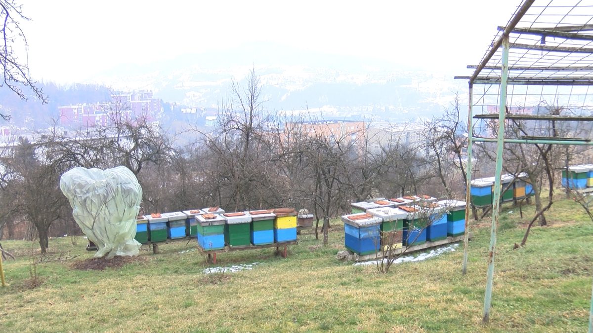 FEBRUAR U PČELINJAKU: VRIJEME JE ZA STIMULATIVNE POGAČE