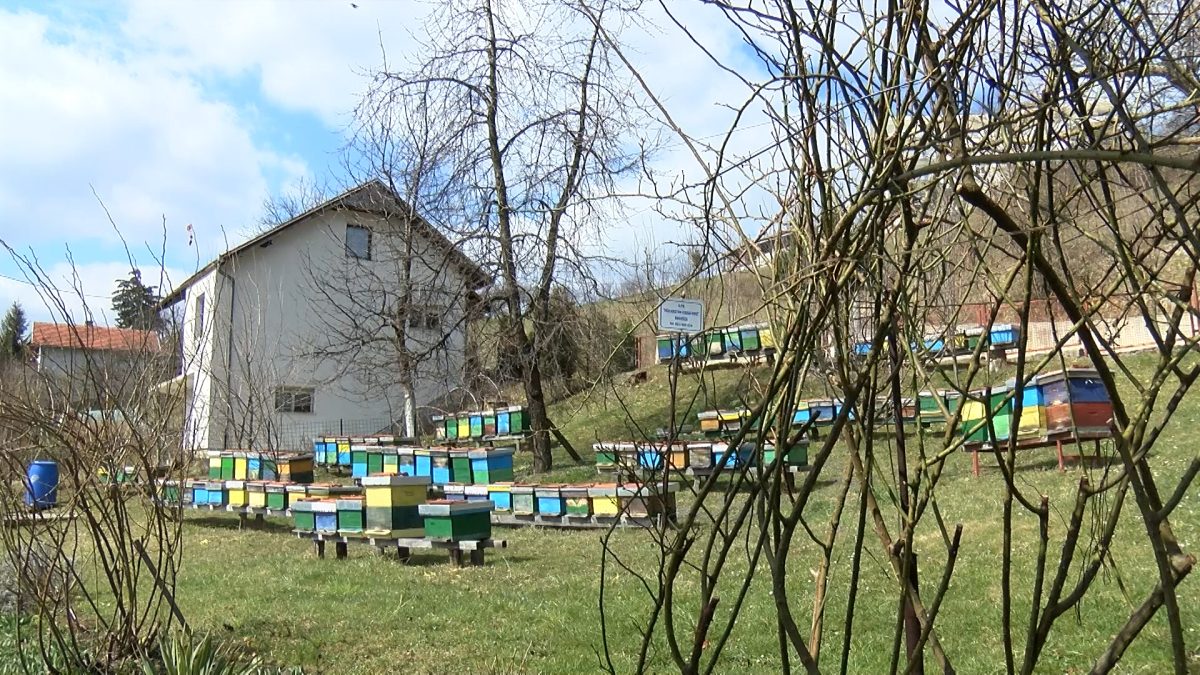 DEZINFEKCIJA KOŠNICA I PČELARSKIH ALATA SPRJEČAVA ŠIRENJE BOLESTI