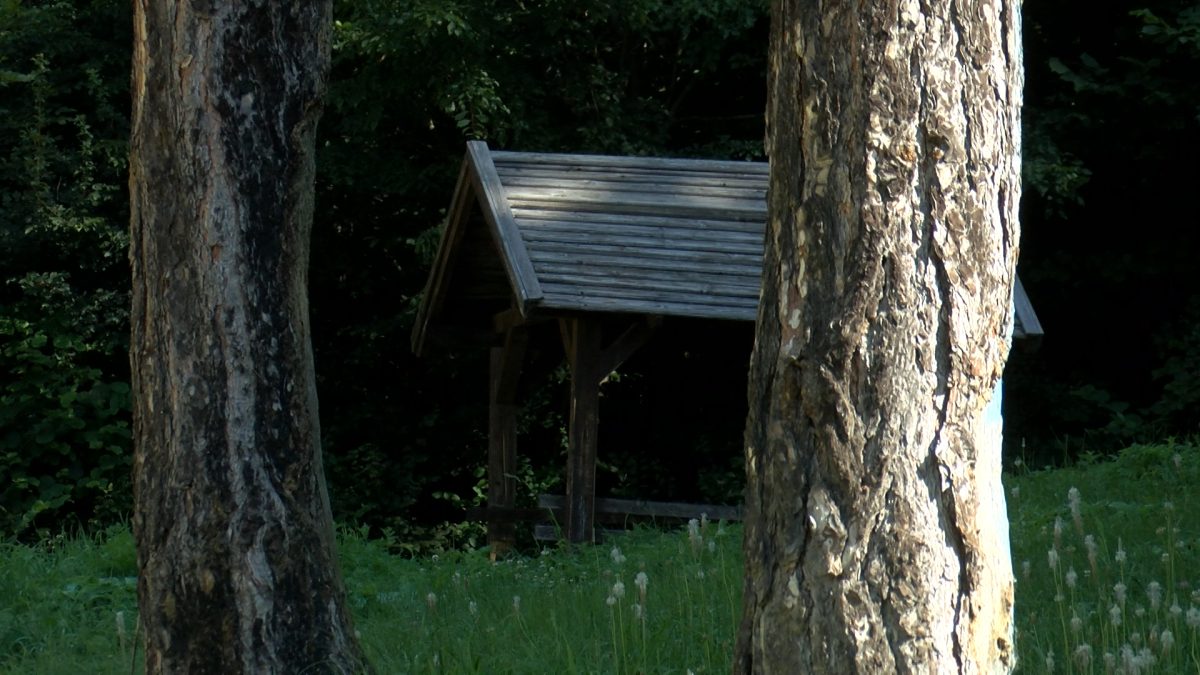JOŠANIČKI POTOK – BOGATSTVO KOJE NE CIJENIMO