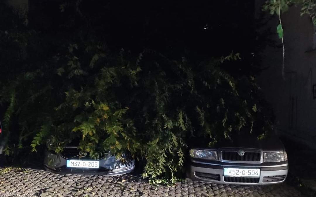 U JOŠANIČKOJ ULICI VJETAR OBORIO STABLO