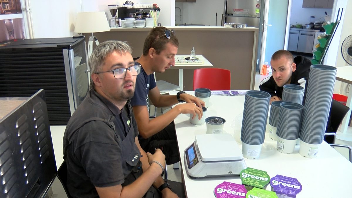 SOCIJALNO PREDUZEĆE „GREENS“  PRVO JE PREDUZEĆE ZA PROIZVODNJU MIKROPOVRĆA, ZAČINSKOG BILJA I JESTIVOG CVIJEĆA U BIH