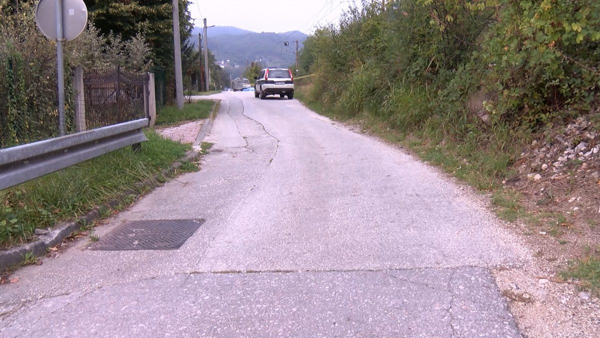VOZ USMRTIO ŽENU U SEMIZOVCU