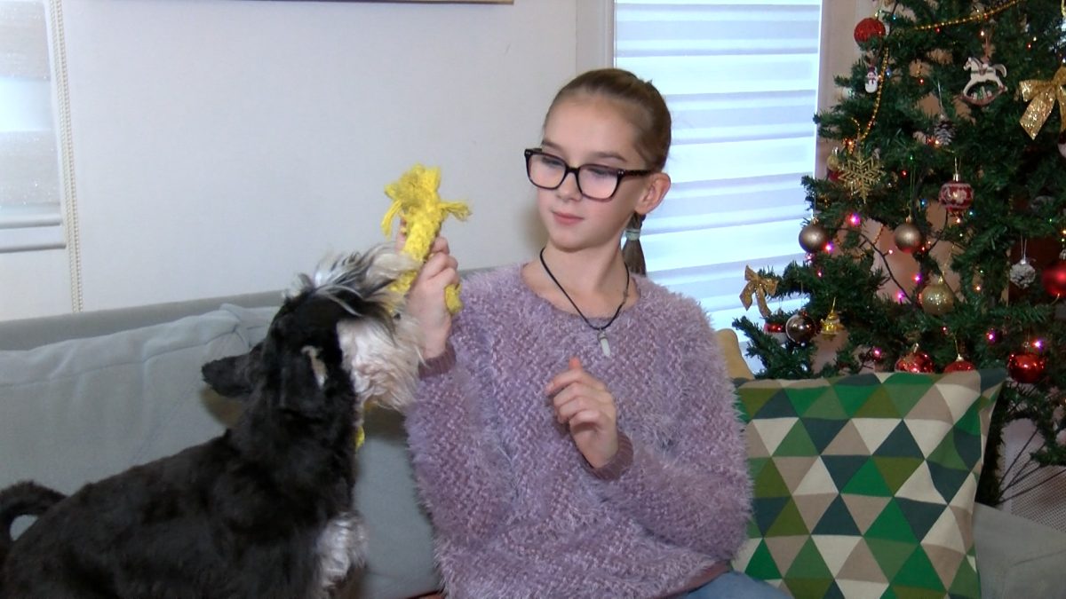 DANAS JE SVJETSKI DAN KUĆNIH LJUBIMACA