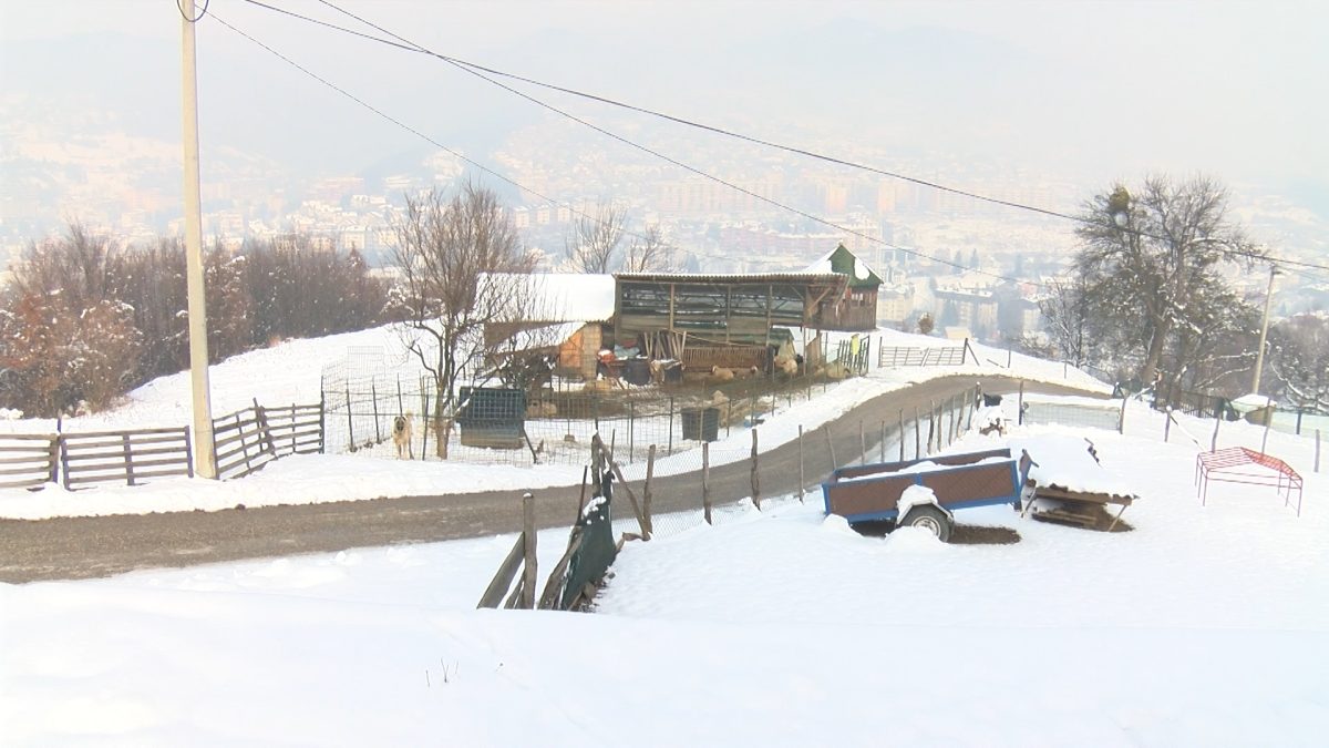 POTICAJI VAŽNI ZA STABILIZACIJU POLJOPRIVREDNE PROIZVODNJE