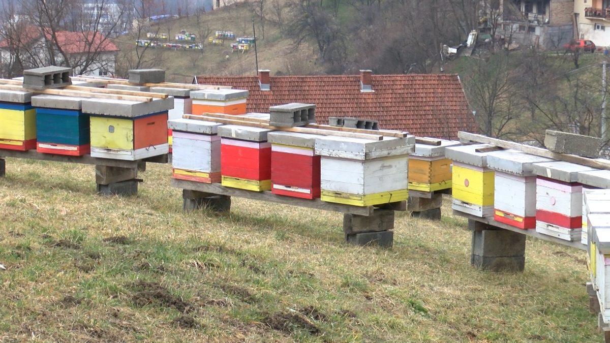 PČELINJAK U FEBRUARU